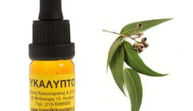 Ευκάλυπτος αρωματικό έλαιο 10ml