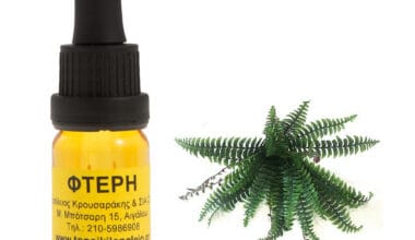 Φτέρη αρωματικό έλαιο 10ml