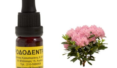 Ροδόδεντρο αρωματικό έλαιο 10ml