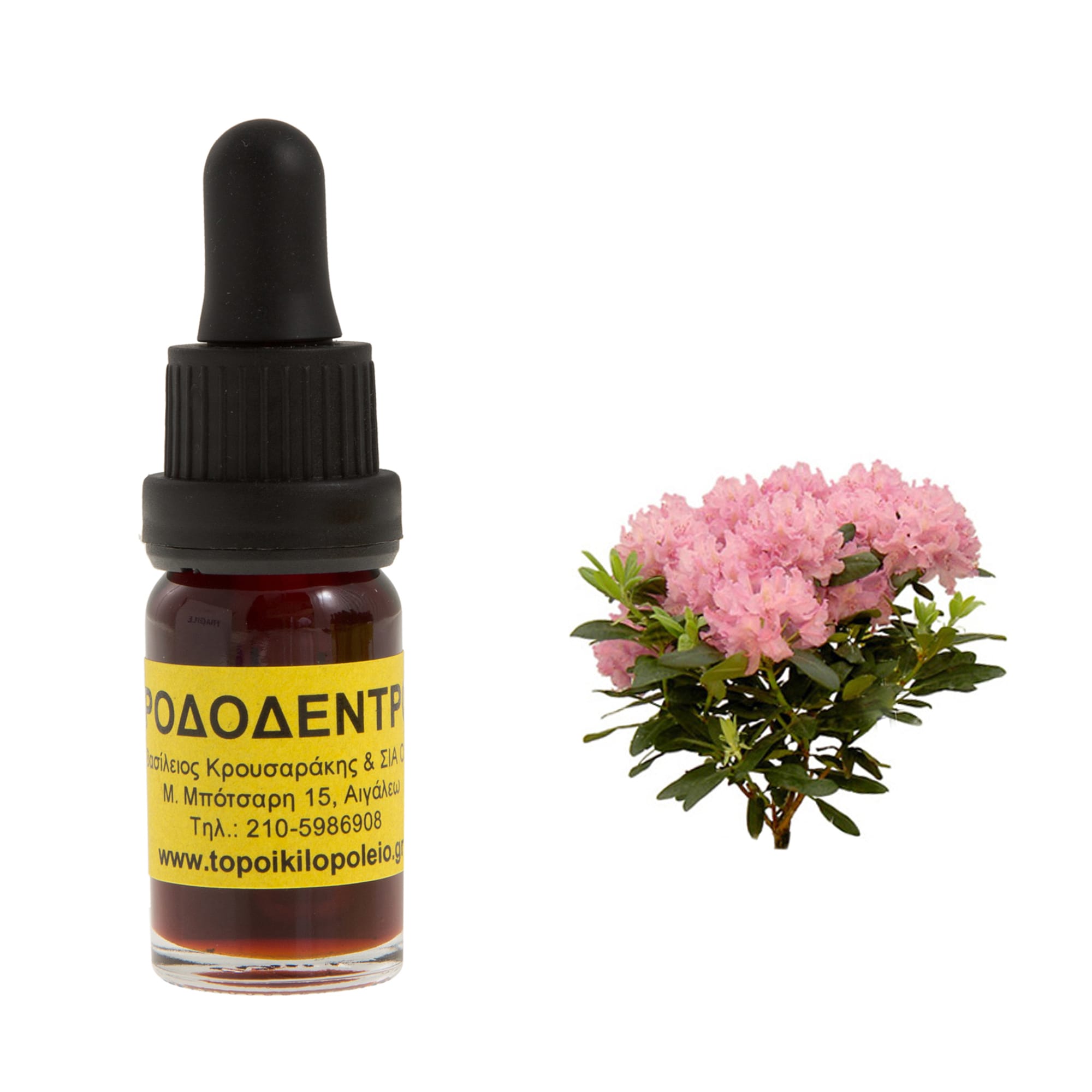 rododentro-aromatiko-elaio-10ml Ροδόδεντρο αρωματικό έλαιο 10ml - Image 1