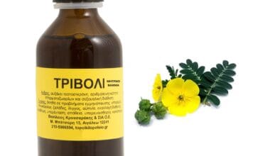 Τριβόλι μητρικό βάμμα 100ml