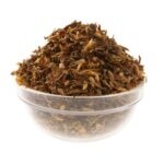 Άνθη Σπάρτου