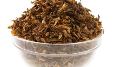 Άνθη Σπάρτου