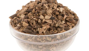 Παιώνια ρίζα κομμένη