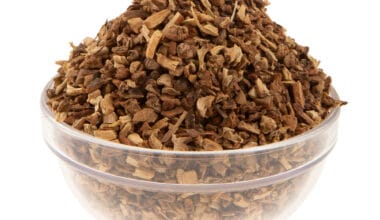 Σμίλαξ (ή Σαρσαπαρίλλα)