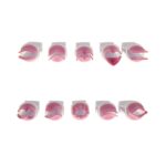 Τσιμπίδες πλαστικές για διακόσμηση Αλιπράντης σετ 10 τεμ. (021.01.050) - Image 2