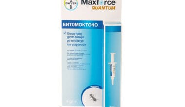 Μυρμηγκοκτόνο δόλωμα ζελέ σε σύριγγα Bayer Maxforce Quantum 4 γρ.