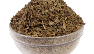 Λάπαθο (ή Αγριοσέσκλο ή Αρκολάχανο)