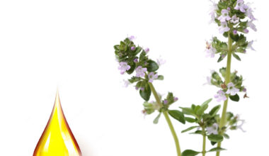 Θυμάρι μητρικό βάμμα