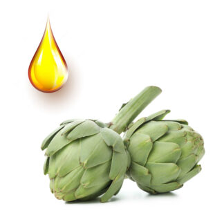 Αγκινάρα μητρικό βάμμα