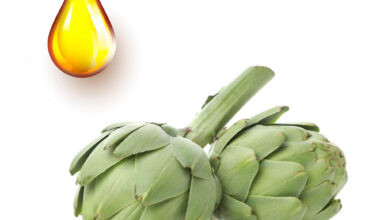 Αγκινάρα μητρικό βάμμα