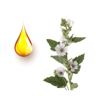 Αλταία μητρικό βάμμα