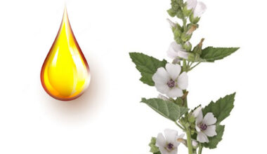 Αλταία μητρικό βάμμα