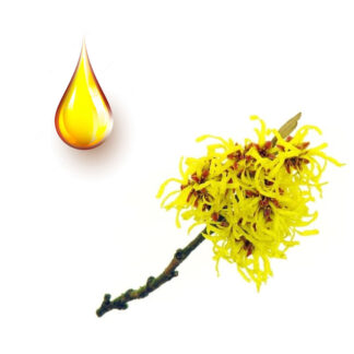 Αμαμελίς μητρικό βάμμα