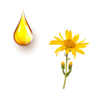 Άρνικα μητρικό βάμμα