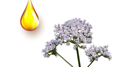 Βαλεριάνα μητρικό βάμμα