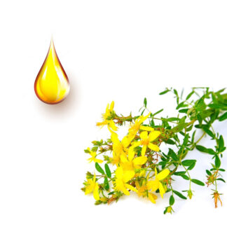 Βάλσαμο μητρικό βάμμα