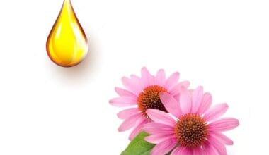 Εχινάτσια μητρικό βάμμα