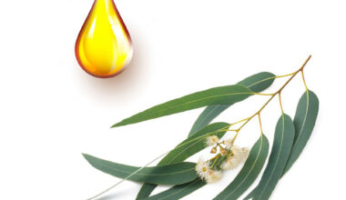 Ευκάλυπτος μητρικό βάμμα