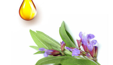 Φασκόμηλο μητρικό βάμμα