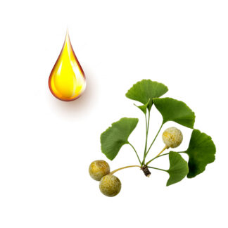 Τζίνγκο-Μπιλόμπα μητρικό βάμμα