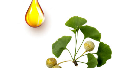 Τζίνγκο-Μπιλόμπα μητρικό βάμμα