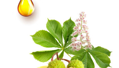 Ιπποκαστανέα μητρικό βάμμα