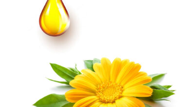 Καλέντουλα μητρικό βάμμα