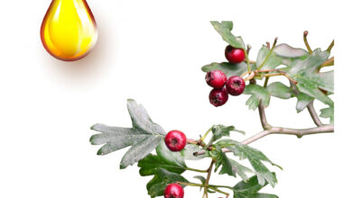 Κράταιγος μητρικό βάμμα