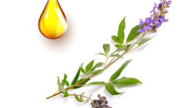 Λυγαριά μητρικό βάμμα