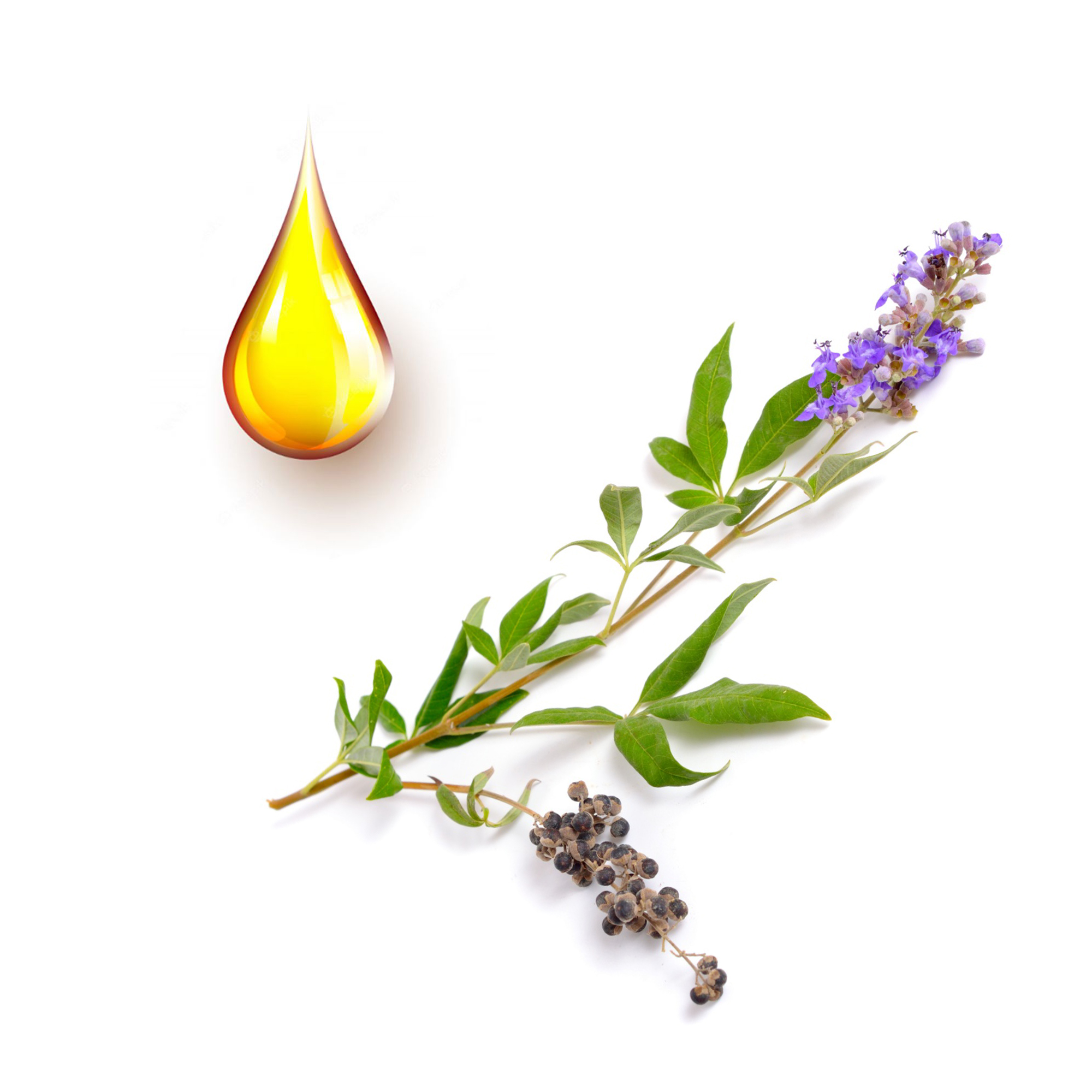 lygaria-mhtriko-bamma Λυγαριά μητρικό βάμμα - Image 1