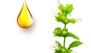 Μέλισσα μητρικό βάμμα