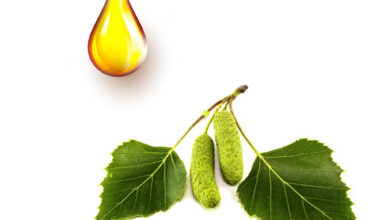 Σημύδα μητρικό βάμμα