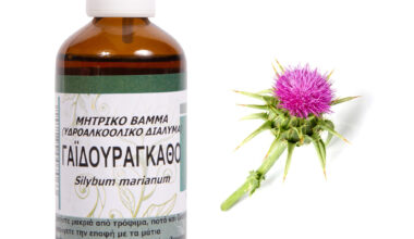 Γαϊδουράγκαθο (ή Σίλυβο) μητρικό βάμμα