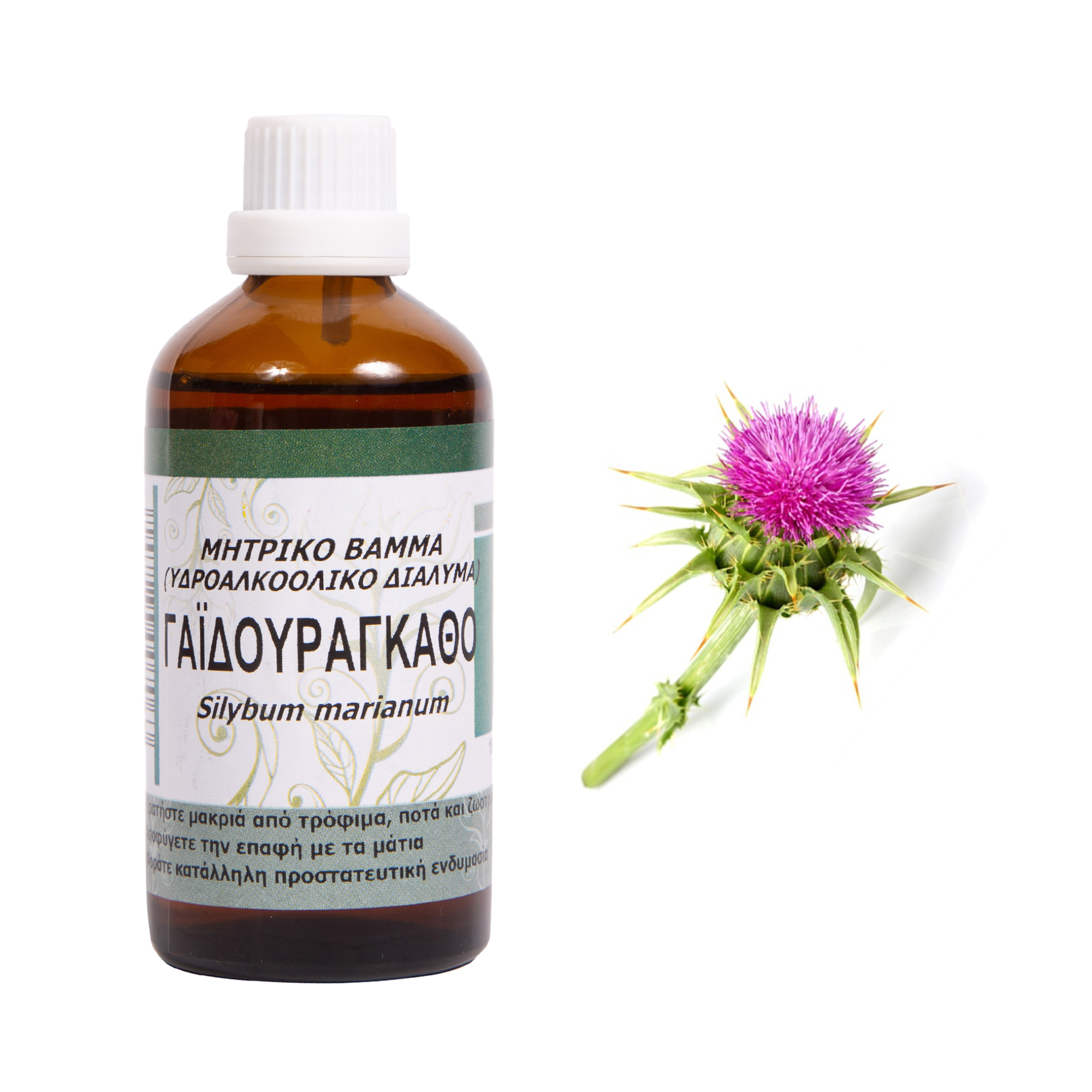 gaidouragka8o-(silybo)-mhtriko-bamma-100ml Γαϊδουράγκαθο (ή Σίλυβο) μητρικό βάμμα - Image 1