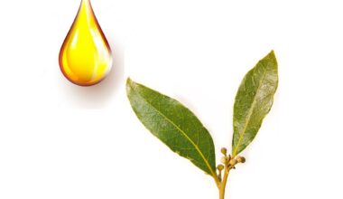 Δαφνέλαιο φυτικό έλαιο 1 λίτρο