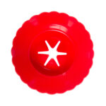 Κηροστάτης γίγας - Image 3