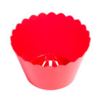 Κηροστάτης γίγας - Image 2