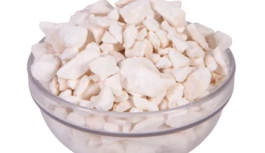 Μάννα κανελάτα (manna canelata)