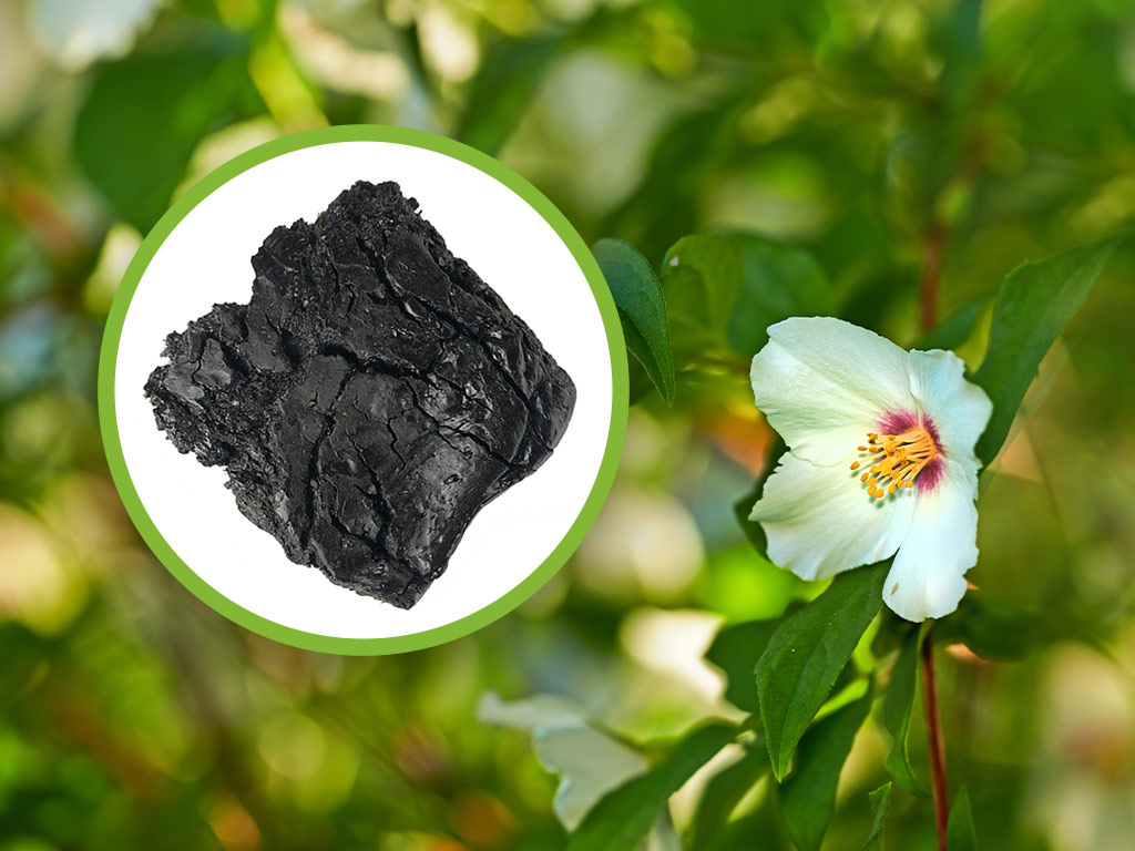 Λάβδανο φυσική ρυτίνη